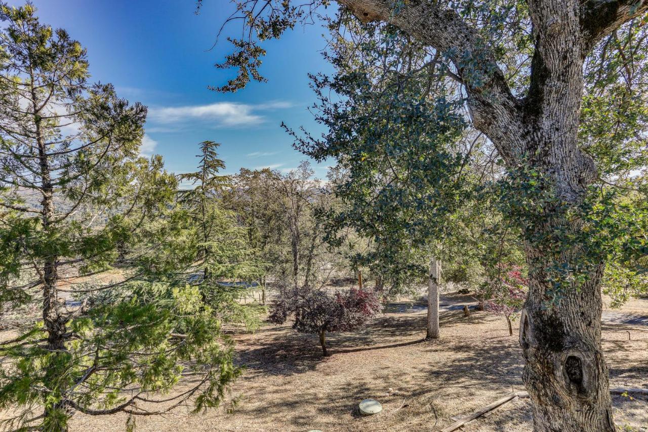 Cozy Studio With Well-Being Retreat Near Yosemite! Ahwahnee Kültér fotó